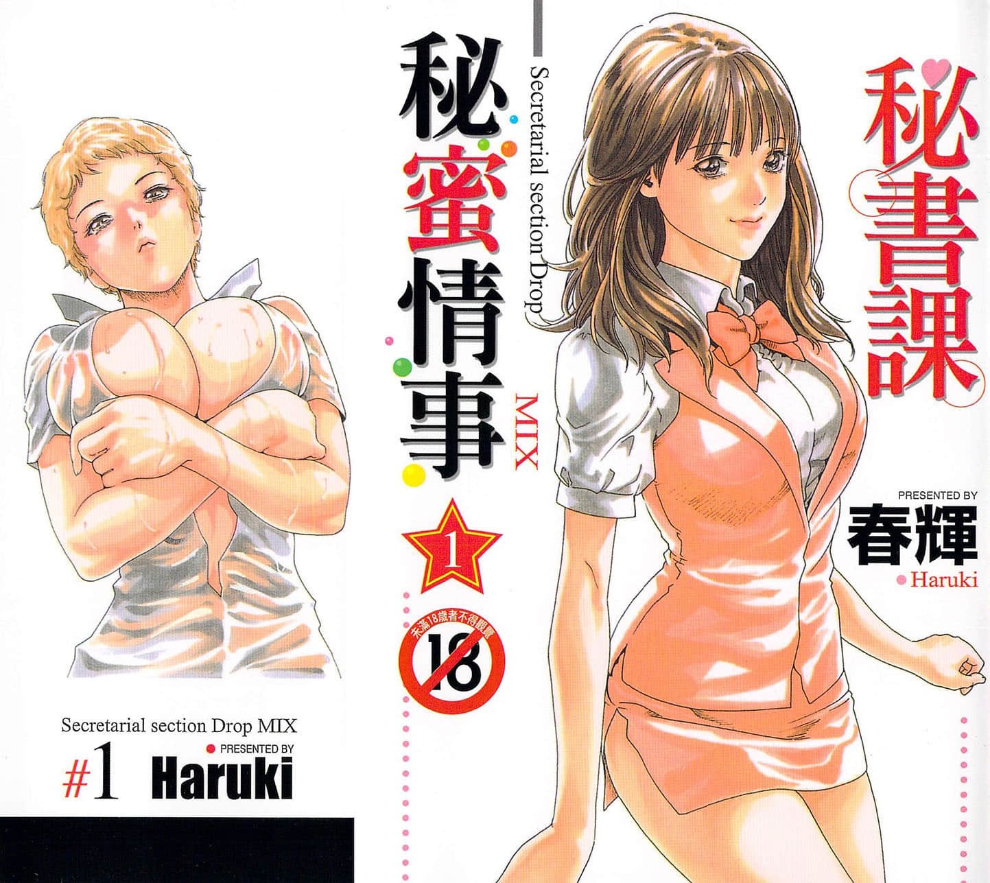 秘書課 - 秘蜜情事 MIX 1